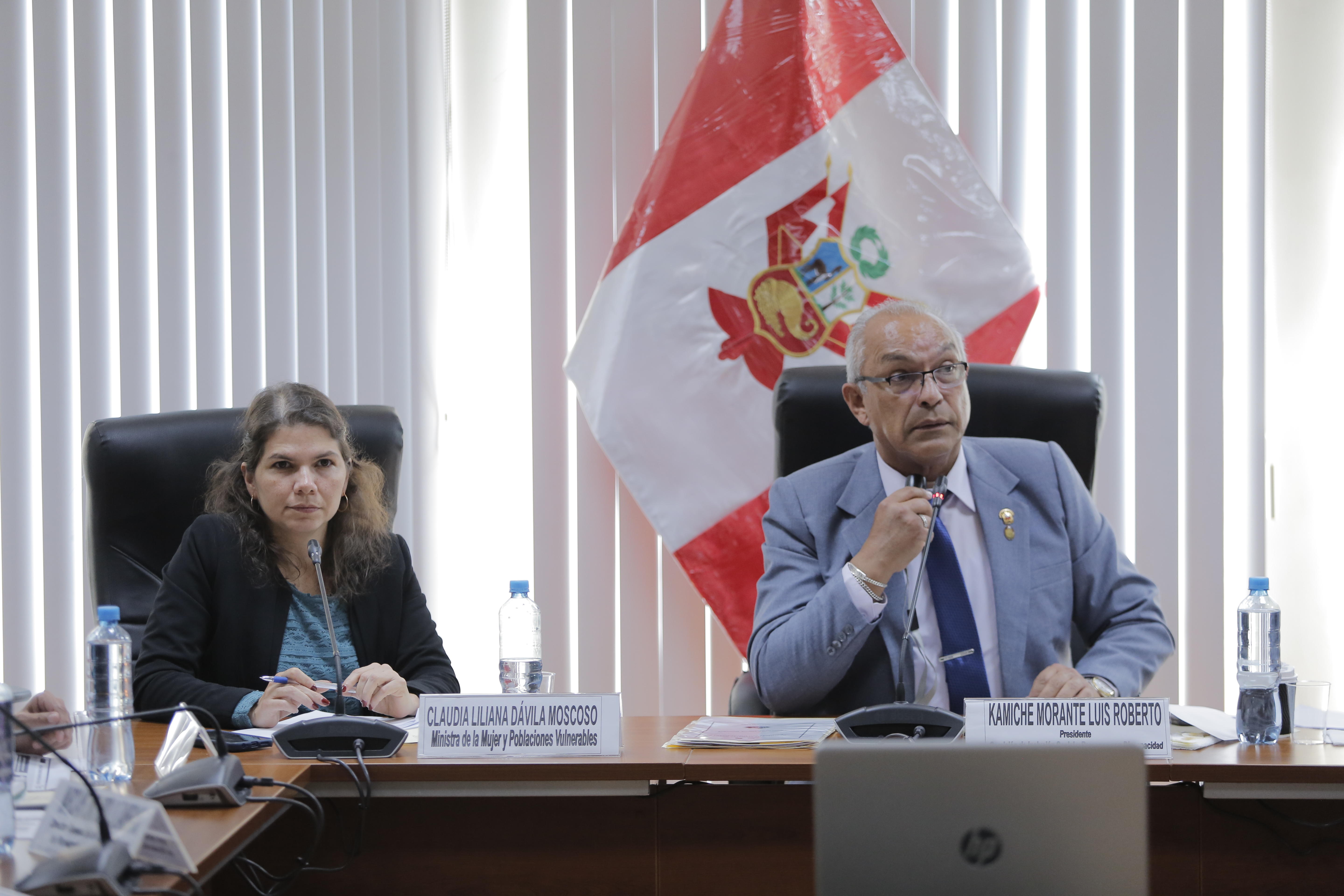 Ministra Claudia Dávila asiste a la comisión de Inclusión Social y Personas con Discapacidad del Congreso