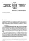 Vista preliminar de documento Resolución N° 1017-2022/SBN-DGPE-SDDI