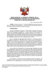 Vista preliminar de documento Resolución N° 308-2022-SUNARP_GG