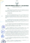 Vista preliminar de documento RESOLUCIÓN GERENCIAL GENERAL N° 022-2010/GRP-PEIHAP.pdf