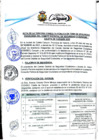 Vista preliminar de documento TERCERA CONSULTA PÚBLICA ORDINARIA DE CODISEC.pdf