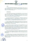Vista preliminar de documento RESOLUCIÓN GERENCIAL GENERAL N° 040-2010/GRP-PEIHAP.pdf