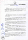 Vista preliminar de documento RESOLUCIÓN GERENCIAL GENERAL N° 055-2010/GRP-PEIHAP.pdf