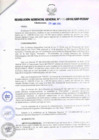 Vista preliminar de documento RESOLUCIÓN GERENCIAL GENERAL N° 059-2010/GRP-PEIHAP.pdf
