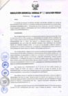 Vista preliminar de documento RESOLUCIÓN GERENCIAL GENERAL N° 060-2010/GRP-PEIHAP.pdf