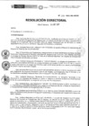 Vista preliminar de documento RD-237-2021-DE-HEVES.pdf
