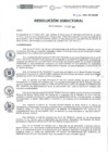 Vista preliminar de documento RD-247-2021-DE-HEVES.pdf