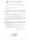 Vista preliminar de documento RG_524_2022.pdf