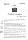 Vista preliminar de documento RD N° 484-HNAL-D-2015.pdf