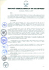 Vista preliminar de documento RESOLUCIÓN GERENCIAL GENERAL N° 009-2009/GRP-PEIHAP.pdf
