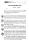Vista preliminar de documento RD-257-2021-DE-HEVES.pdf