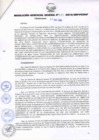 Vista preliminar de documento RESOLUCIÓN GERENCIAL GENERAL N° 063-2010/GRP-PEIHAP.pdf