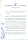Vista preliminar de documento RESOLUCIÓN GERENCIAL GENERAL N° 019-2009/GRP-PEIHAP.pdf