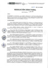 Vista preliminar de documento RD-267-2021-DE-HEVES.pdf