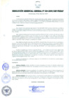 Vista preliminar de documento RESOLUCIÓN GERENCIAL GENERAL N° 024-2009/GRP-PEIHAP.pdf