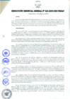 Vista preliminar de documento RESOLUCIÓN GERENCIAL GENERAL N° 026-2009/GRP-PEIHAP.pdf