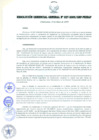 Vista preliminar de documento RESOLUCIÓN GERENCIAL GENERAL N° 027-2009/GRP-PEIHAP.pdf