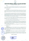 Vista preliminar de documento RESOLUCIÓN GERENCIAL GENERAL N° 028-2009/GRP-PEIHAP.pdf