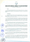 Vista preliminar de documento RESOLUCIÓN GERENCIAL GENERAL N° 029-2009/GRP-PEIHAP.pdf