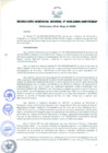 Vista preliminar de documento RESOLUCIÓN GERENCIAL GENERAL N° 030-2009/GRP-PEIHAP.pdf