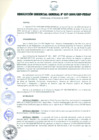 Vista preliminar de documento RESOLUCIÓN GERENCIAL GENERAL N° 037-2009/GRP-PEIHAP.pdf