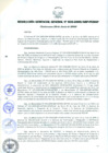 Vista preliminar de documento RESOLUCIÓN GERENCIAL GENERAL N° 038-2009/GRP-PEIHAP.pdf