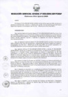 Vista preliminar de documento RESOLUCIÓN GERENCIAL GENERAL N° 050-2009/GRP-PEIHAP.pdf