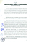 Vista preliminar de documento RESOLUCIÓN GERENCIAL GENERAL N° 061-2009/GRP-PEIHAP.pdf