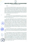 Vista preliminar de documento RESOLUCIÓN GERENCIAL GENERAL N° 062-2009/GRP-PEIHAP.pdf