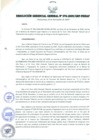 Vista preliminar de documento RESOLUCIÓN GERENCIAL GENERAL N° 076-2009/GRP-PEIHAP.pdf