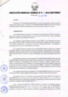 Vista preliminar de documento RESOLUCIÓN GERENCIAL GENERAL N° 091-2010/GRP-PEIHAP.pdf