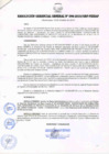 Vista preliminar de documento RESOLUCIÓN GERENCIAL GENERAL N° 098-2010/GRP-PEIHAP.pdf