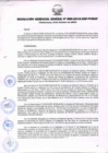 Vista preliminar de documento RESOLUCIÓN GERENCIAL GENERAL N° 099-2010/GRP-PEIHAP.pdf