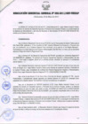 Vista preliminar de documento RESOLUCIÓN GERENCIAL GENERAL N° 032-2011/GRP-PEIHAP.pdf