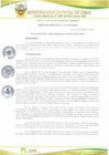 Vista preliminar de documento ORDENANZA MUNICIPAL Nº 005-2019-MDT.pdf