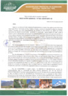 Vista preliminar de documento Resolución Gerencial N.º 026-GIDUR-MPH-M