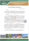 Vista preliminar de documento Resolución Gerencial N.º  024-GIDUR-MPH-M