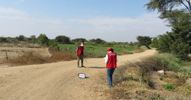 Contraloría detecta perjuicio superior a S/ 1.6 millones en obra vial de Íllimo