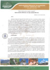 Vista preliminar de documento Resolución Gerencial N.º 029-GIDUR-MPH-M