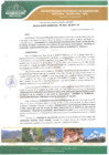 Vista preliminar de documento Resolución Gerencial N.º 0031-GI-MPH-M