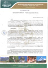 Vista preliminar de documento Resolución Gerencial N.º 006-2020/GIDUR-MPH-M
