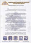 Vista preliminar de documento Ordenanza Municipal 002-2019/CM-MPH-M