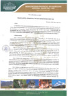 Vista preliminar de documento Resolución Gerencial N.º 010-2020/GIDUR-MPH-M