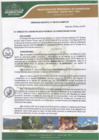 Vista preliminar de documento Ordenanza Municipal 009-2019/CM-MPH-M