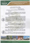 Vista preliminar de documento Ordenanza Municipal 011-2019/CM-MPH-M