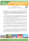 Vista preliminar de documento Resolución Gerencial N.º 029-MPH-M/GIDUR