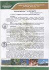 Vista preliminar de documento Ordenanza Municipal 025-2019/CM-MPH-M