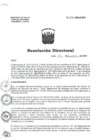 Vista preliminar de documento RD N° 476-HNAL-D-2015.pdf