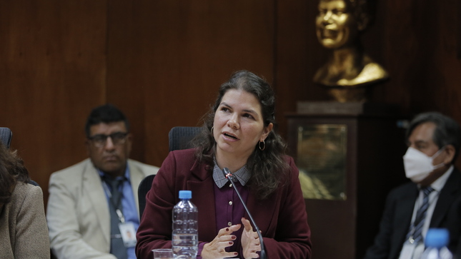 Ministra Claudia Davila asiste a la comisión de la Mujer y Familia del Congreso