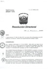 Vista preliminar de documento RD N° 487-HNAL-D-2015.pdf